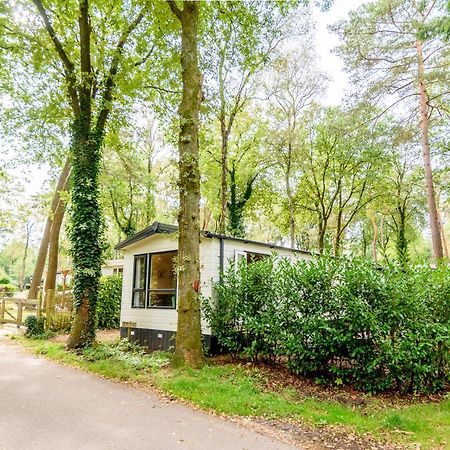 Veluwe Chalet Aan Het Bos - Kids - Pool - Dog Hoenderloo Zewnętrze zdjęcie