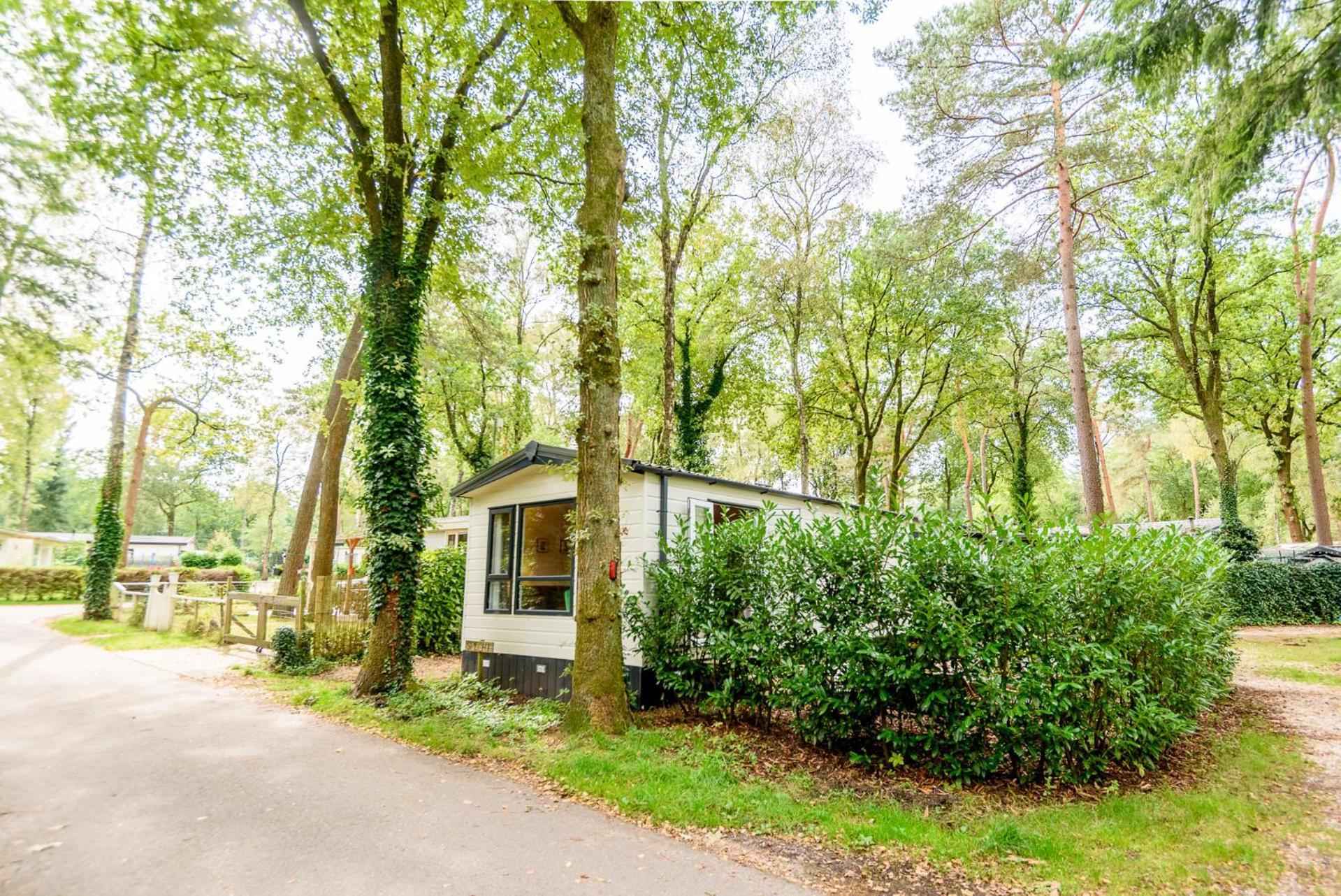 Veluwe Chalet Aan Het Bos - Kids - Pool - Dog Hoenderloo Zewnętrze zdjęcie